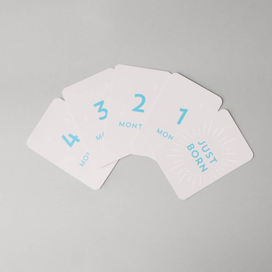 しまうまプリント マイルストーンカード 月齢カード マンスリーカード マイルストーンカード｜写真の整理・