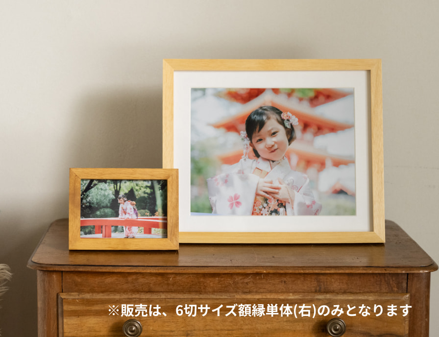 SL写真(額縁入り) リトグラフ ZXL-SL-6X4-SM Step & In Ground | HK Lighting
